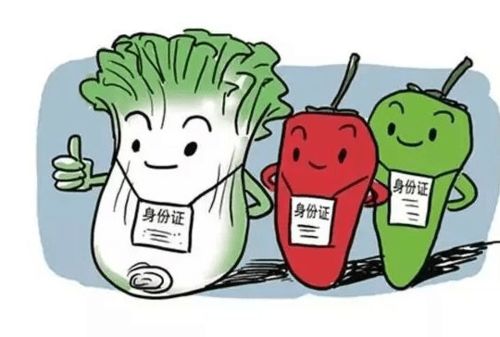食品銷售中的溯源身份證 漲知識，一掃知身世